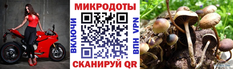 Псилоцибиновые грибы мицелий Суджа